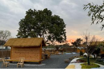 江苏江阴顾山镇：一颗桃，激活产业强镇 “一池春水”