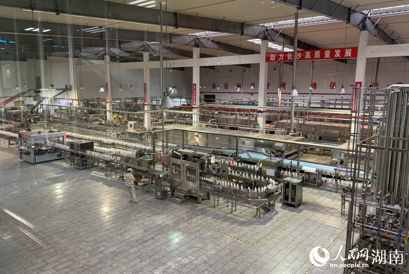 新春走基层|产线不停歇 发展不停档 小洋人自动化生产线。人民网记者 林洛钴摄