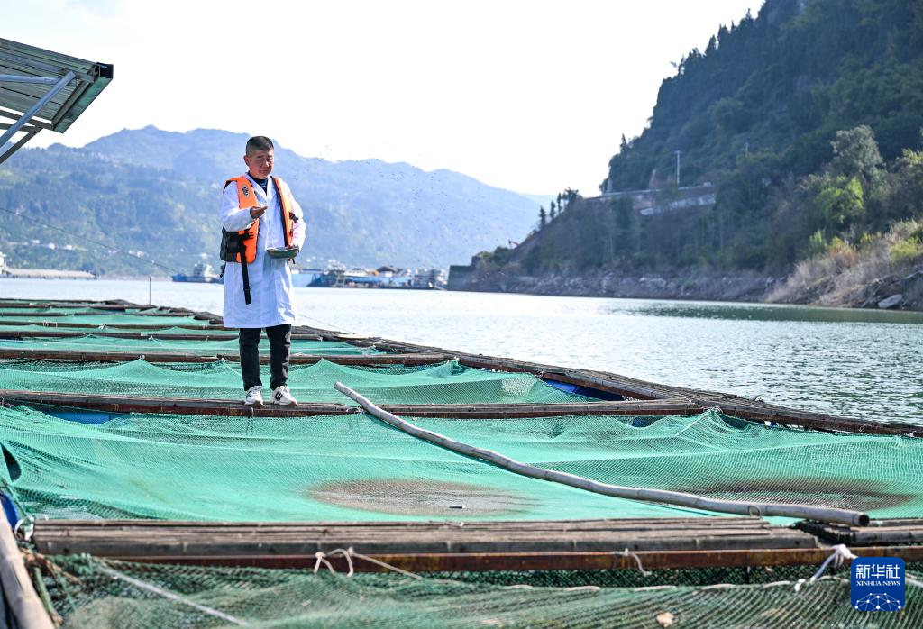 野化驯养基地助力长江水生物种生态修复