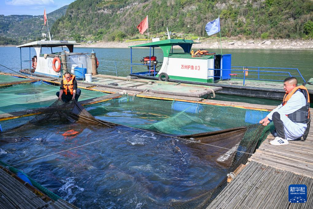 野化驯养基地助力长江水生物种生态修复