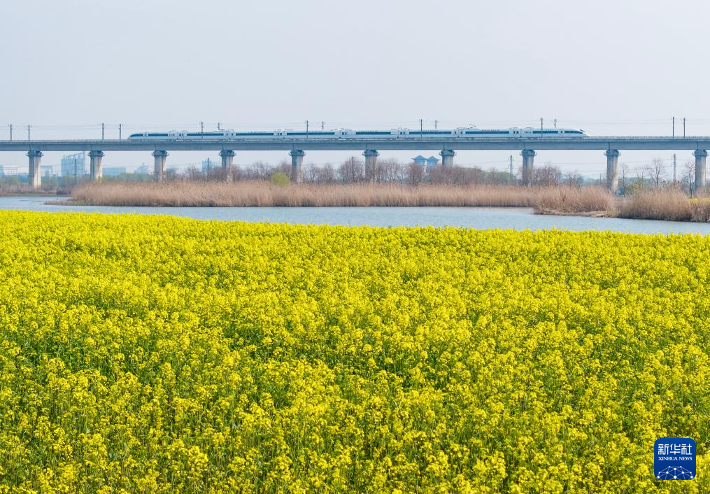 开往春天的列车