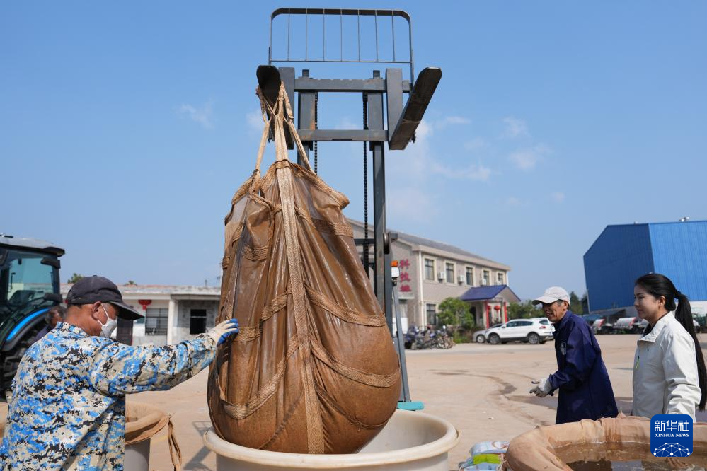 三湘大地备春耕