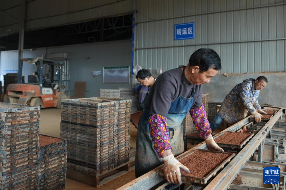 三湘大地备春耕