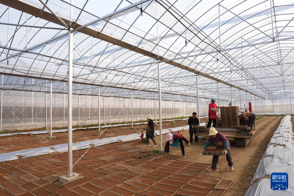 三湘大地备春耕