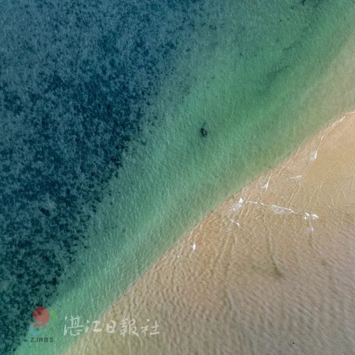 来当合伙人!湛江向全国发出邀约→