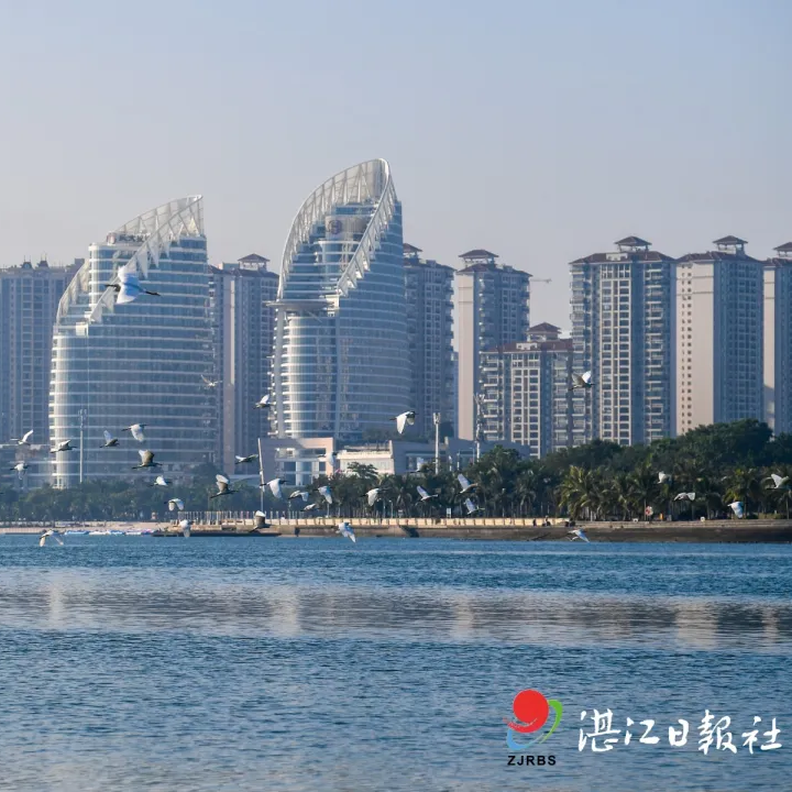来当合伙人!湛江向全国发出邀约→