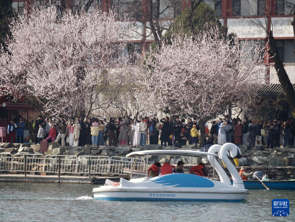 北海公园春色美