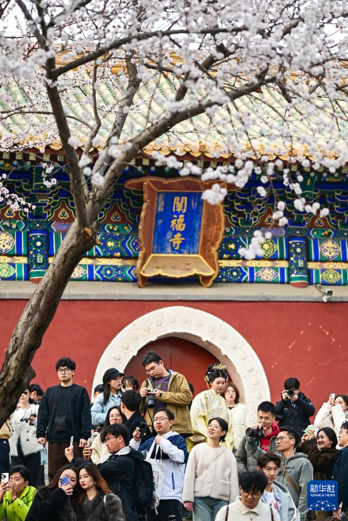 北海公园春色美
