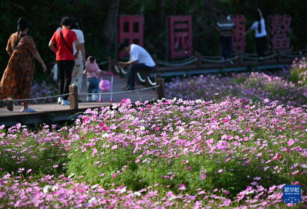 博鳌花开迎客来