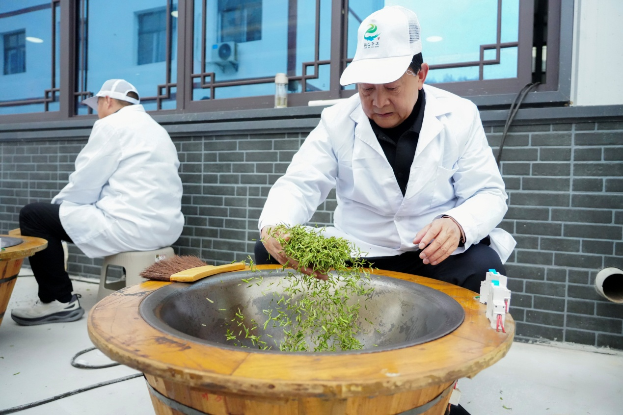 陕西镇巴:科技赋能茶产业 春茶开园促振兴 陕西镇巴:科技赋能茶产业 春茶开园促振兴