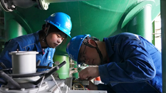 戈壁滩上的“活力密码”