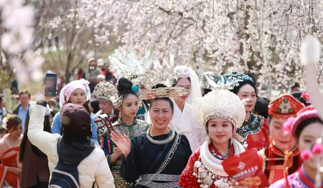 樱花树下唱响“最炫民族风”:北京玉渊潭樱花节上演贵州非遗“连连看” 4889f265ae32f48ab80c441f72bc724f.png