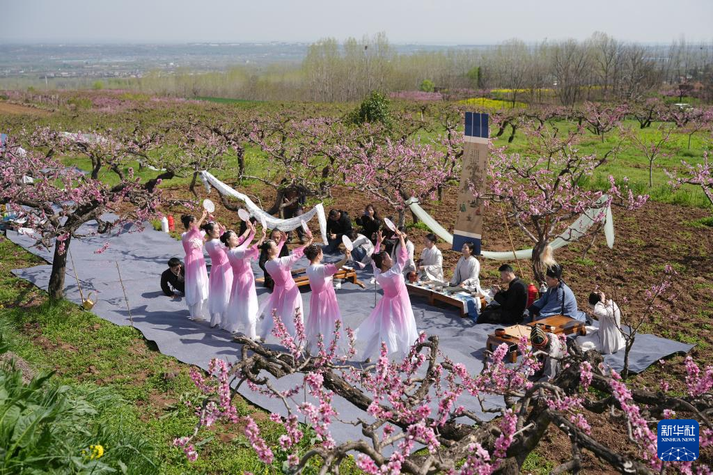 西安长安:踏春赏花正当时