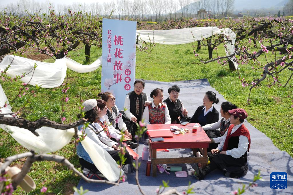 西安长安:踏春赏花正当时