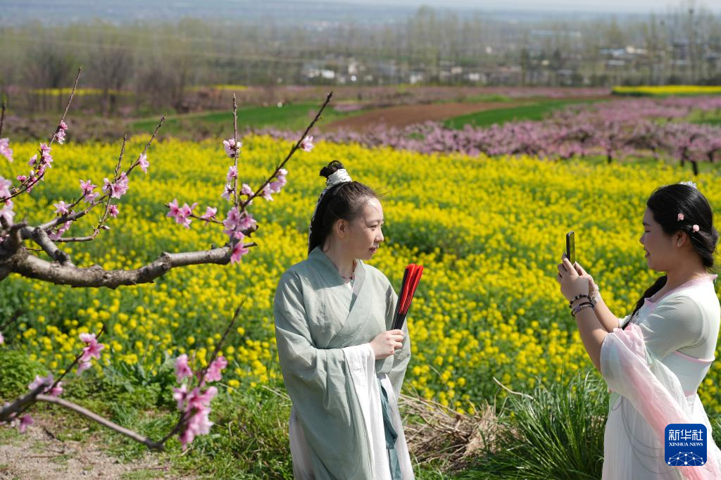西安长安:踏春赏花正当时