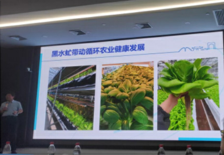 小明听讲座|小昆虫藏大学问！这场科普大讲堂带上海少年解锁昆虫奥秘