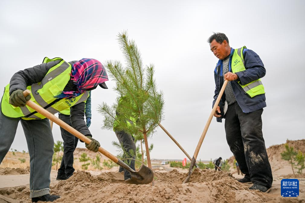 内蒙古通辽:科尔沁沙地歼灭战进行时