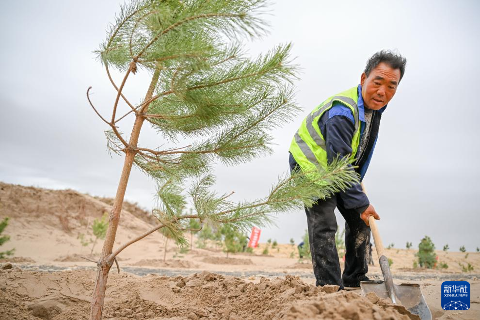 内蒙古通辽:科尔沁沙地歼灭战进行时