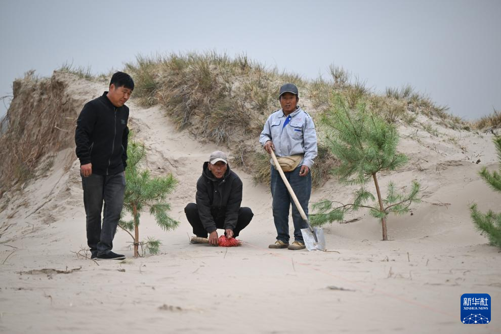 内蒙古通辽:科尔沁沙地歼灭战进行时