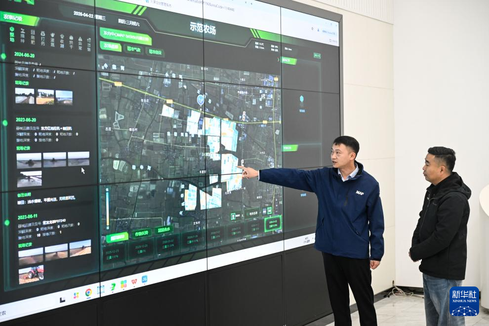 江苏盐城:应对晚播与病害风险 夯实小麦稳产基础