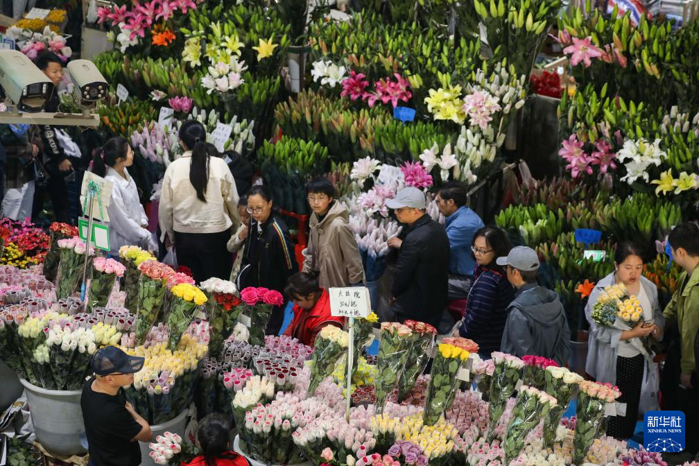 多彩假日
