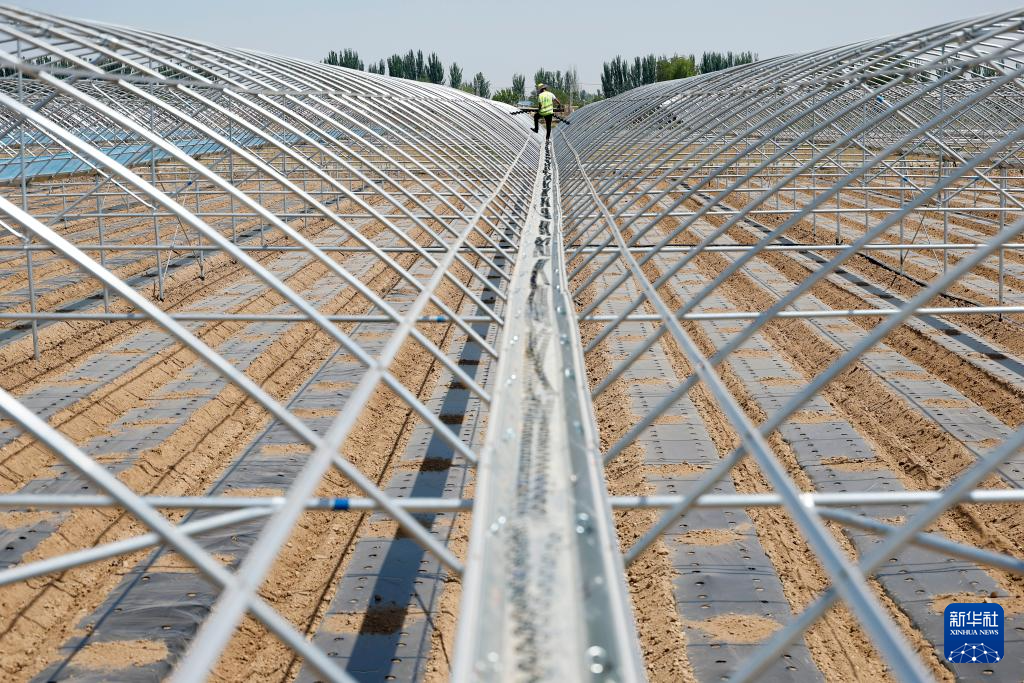 宁夏贺兰:特色农业建设 助力乡村振兴