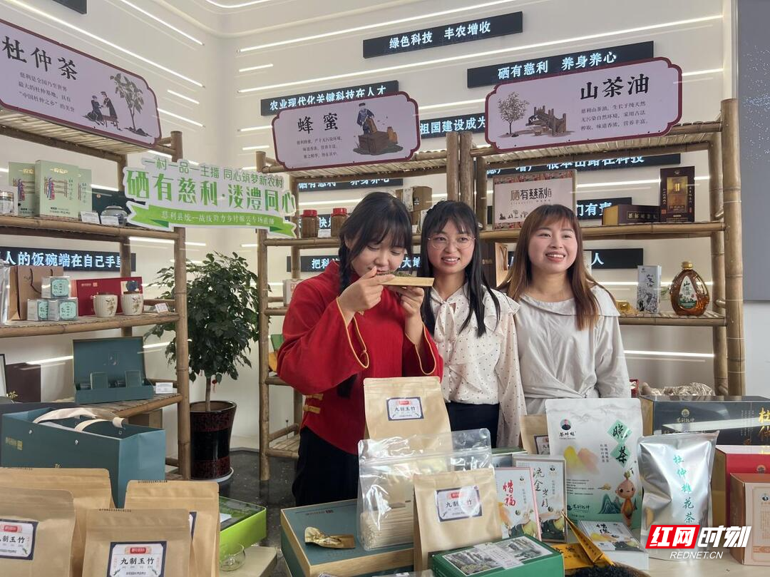慈利县启动网络人士教育培训暨统一战线助力乡村振兴行动