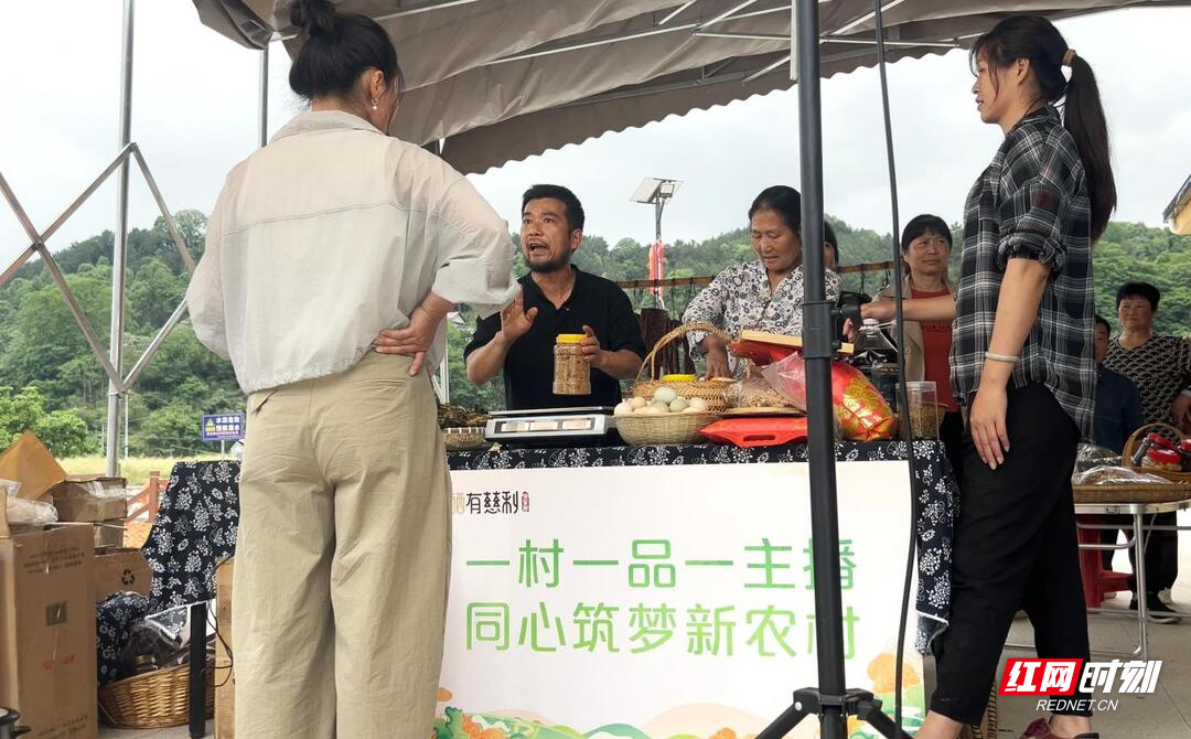 慈利县启动网络人士教育培训暨统一战线助力乡村振兴行动