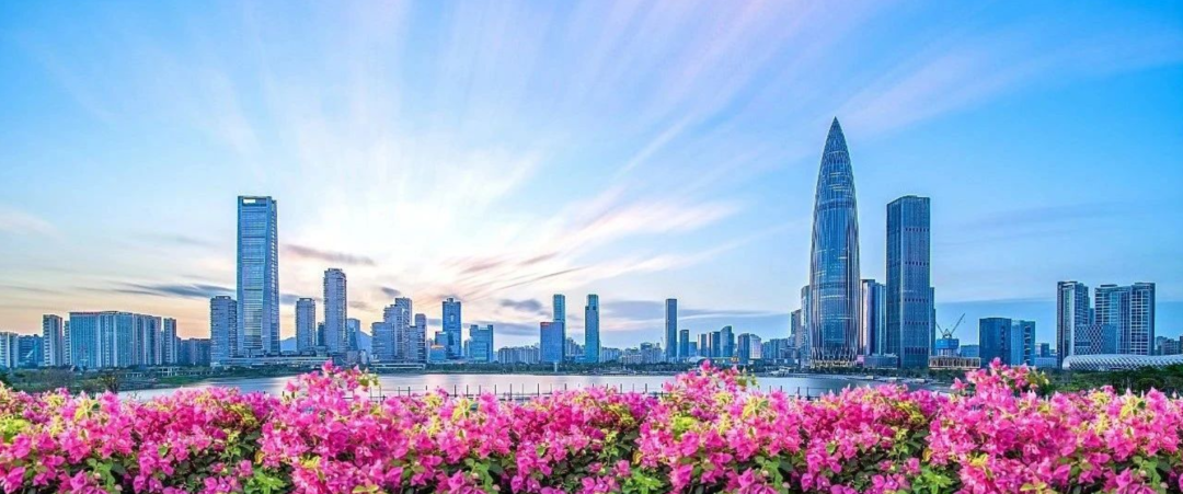深圳主流媒体系统性变革取得阶段性成效