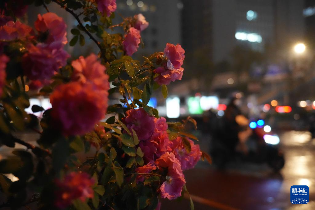 北京迎明显降雨天气过程