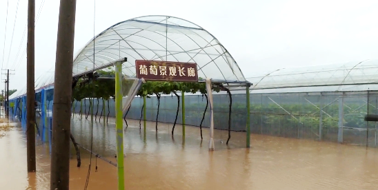 暴雨中逆行!最动人的那一抹红