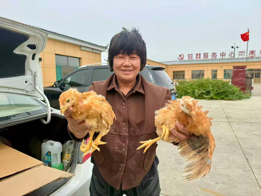 内蒙古鄂托克旗：“致富鸡”产业助增收