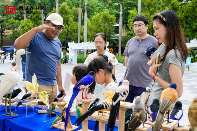 以绿筑城芯 以心护生灵┃广粤国际社区以社区微光点亮绿美广州生态答卷