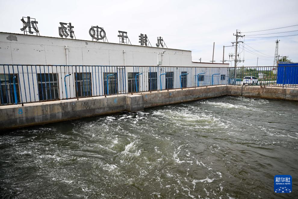 黄河故事丨“塞外明珠”乌梁素海的生态蝶变