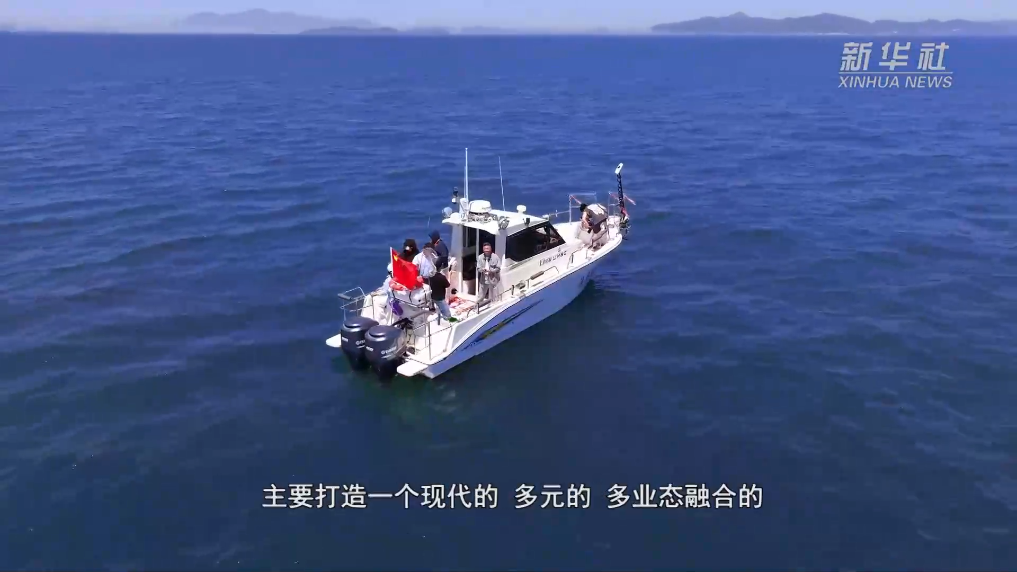 从高端小众到全民玩海 大连游艇经济破浪前行