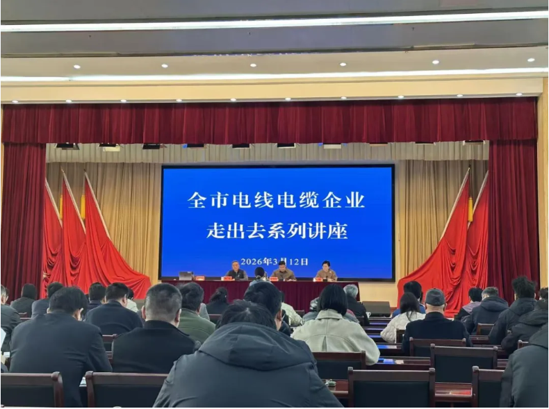 精准施策！江苏省宜兴市官林镇助推电力装备企业“出海”提速