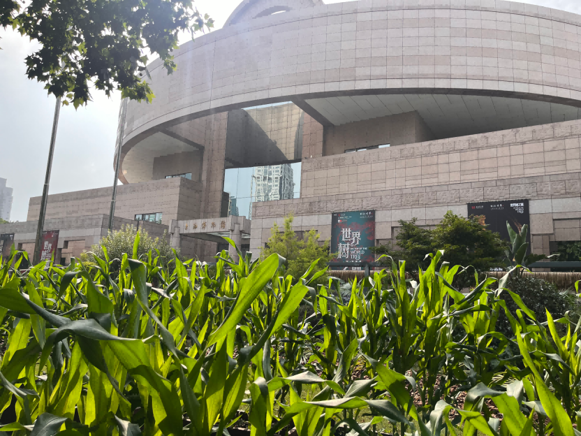 小明看展|“世界树之巅:美洲古代文明大展”7月9日启幕 小明看展|“世界树之巅:美洲古代文明大展”7月9日启幕