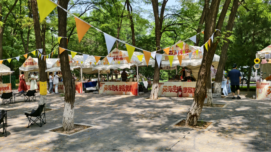 奥森花田野趣葵花展全域焕新