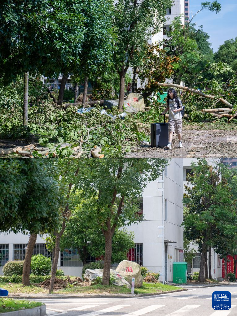 湖北黄冈:龙卷风灾后清理修复持续推进