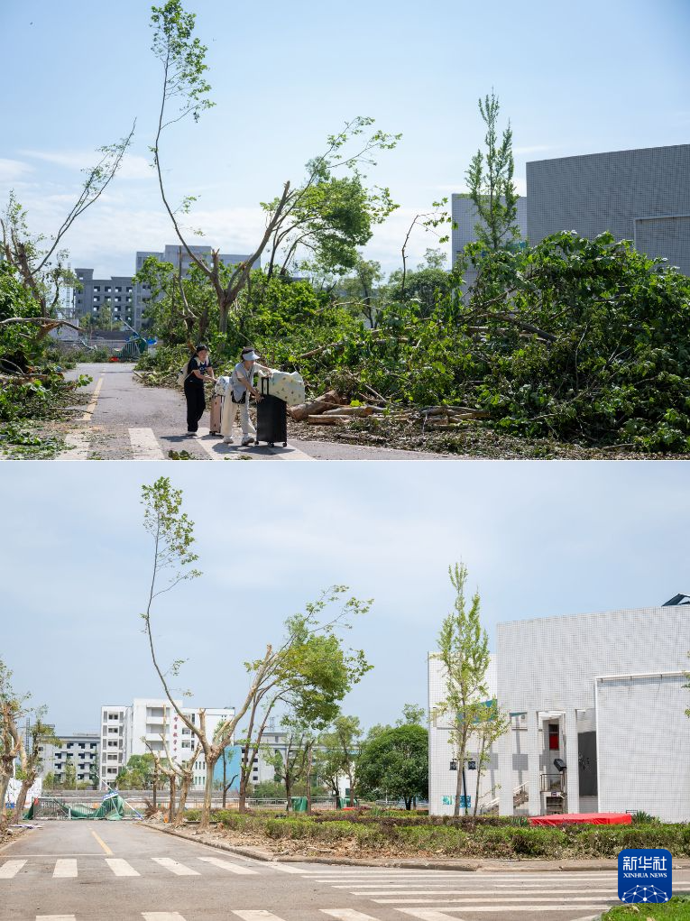 湖北黄冈:龙卷风灾后清理修复持续推进