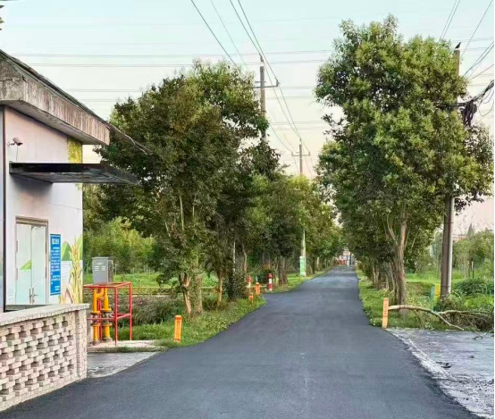 先停宠物再游玩！扬州瓜洲村推动人宠友好“旺”起来