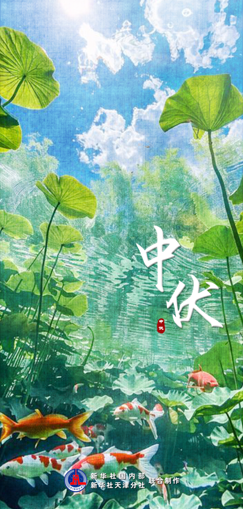 “加长版”中伏来了 记得吃碗“二伏面”