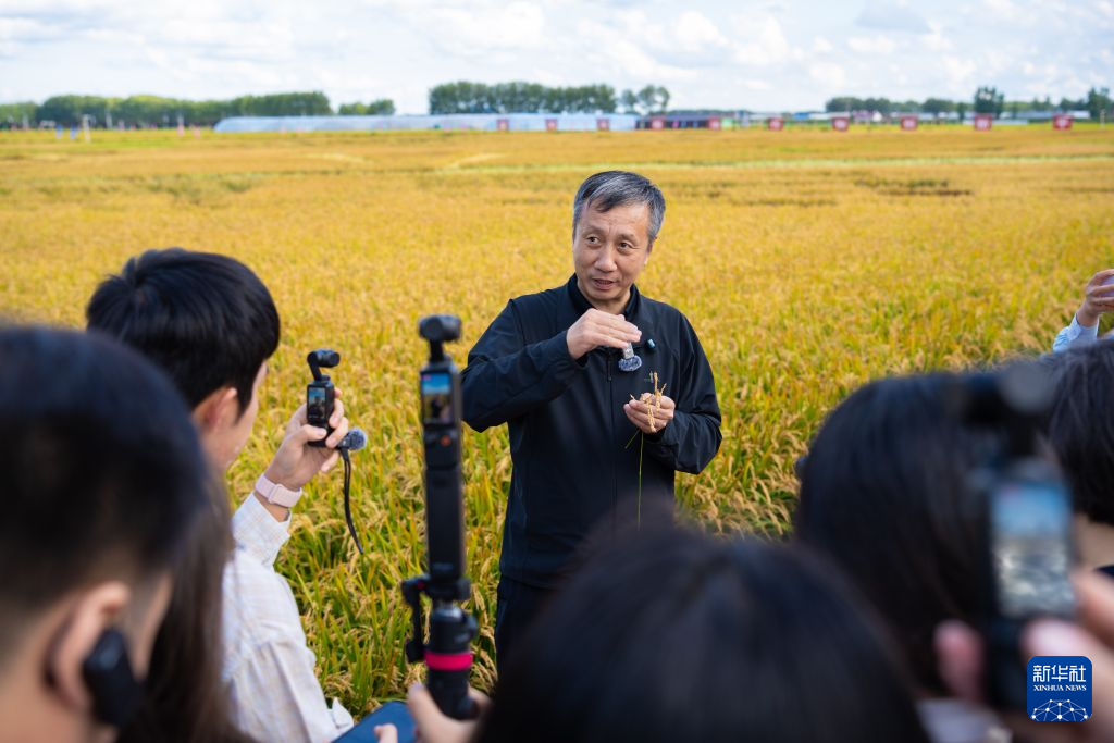 活力中国调研行丨黑龙江绥化:守护黑土 选育良种