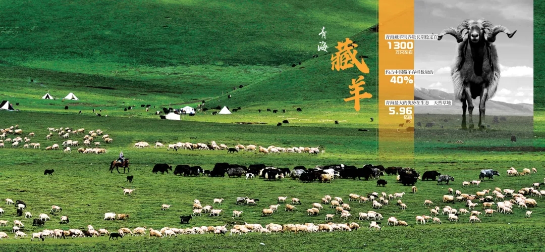 《青海省农牧业产业故事》发布:以文为脉赋能特色产业高质量发展 《青海省农牧业产业故事》发布:以文为脉赋能特色产业高质量发展