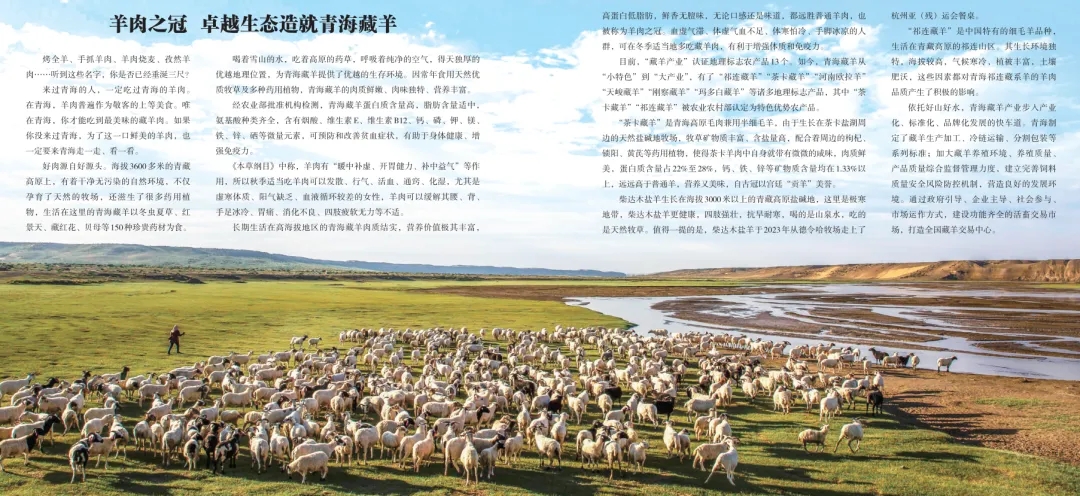 《青海省农牧业产业故事》发布:以文为脉赋能特色产业高质量发展 《青海省农牧业产业故事》发布:以文为脉赋能特色产业高质量发展