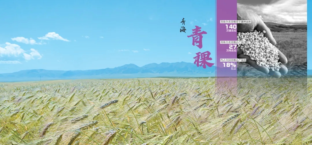 《青海省农牧业产业故事》发布:以文为脉赋能特色产业高质量发展 《青海省农牧业产业故事》发布:以文为脉赋能特色产业高质量发展