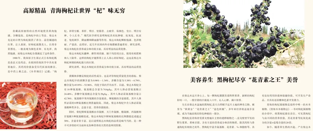 《青海省农牧业产业故事》发布:以文为脉赋能特色产业高质量发展 《青海省农牧业产业故事》发布:以文为脉赋能特色产业高质量发展